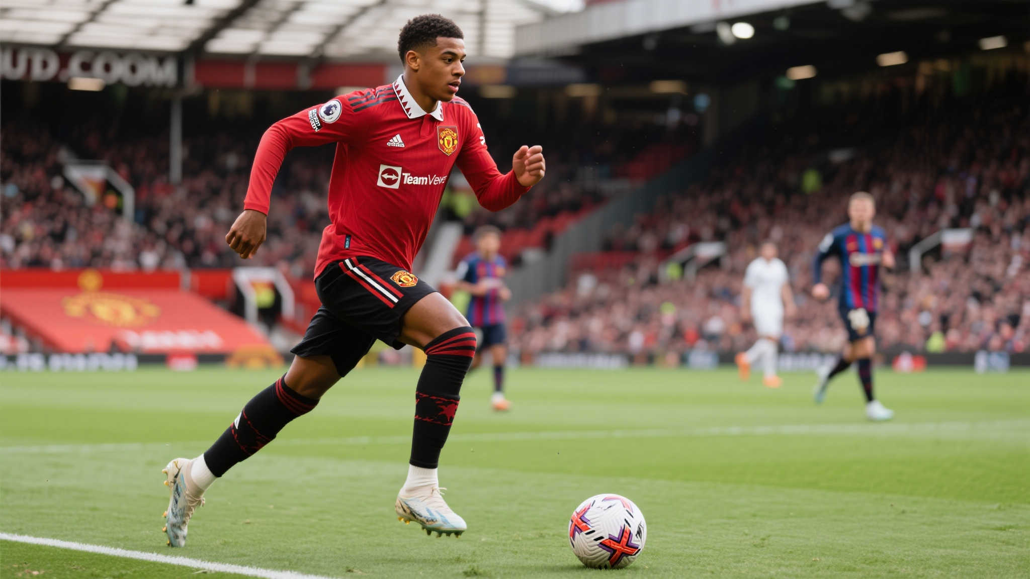 权益以及法 权益以及法