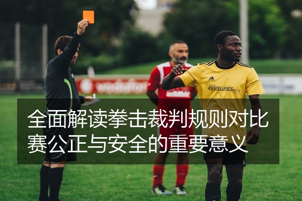 全面解读拳击裁判规则对比赛公正与安全的重要意义