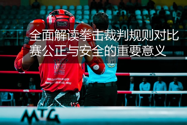 全面解读拳击裁判规则对比赛公正与安全的重要意义