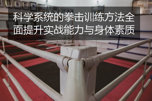 科学系统的拳击训练方法全面提升实战能力与身体素质