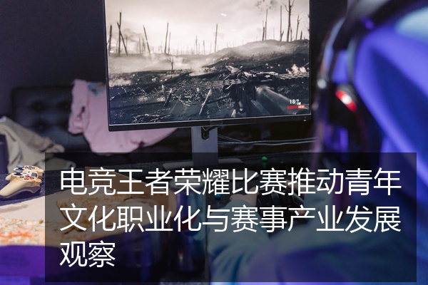 电竞王者荣耀比赛推动青年文化职业化与赛事产业发展观察