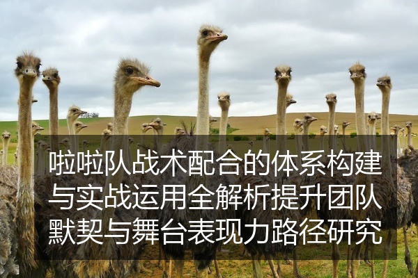 啦啦队战术配合的体系构建与实战运用全解析提升团队默契与舞台表现力路径研究