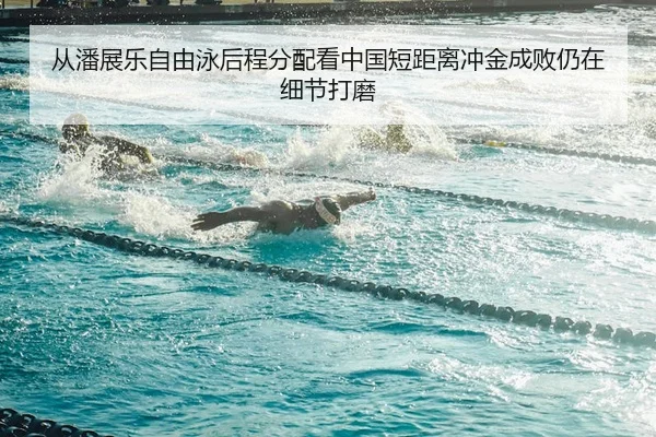 从潘展乐自由泳后程分配看中国短距离冲金成败仍在细节打磨